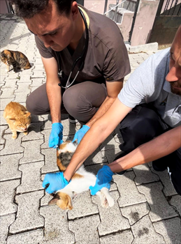 Yerinde Tedavi Hizemeti 13.09 (5).jpg